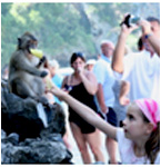 Monkey Bay
